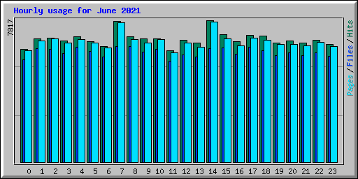 Hourly usage for June 2021